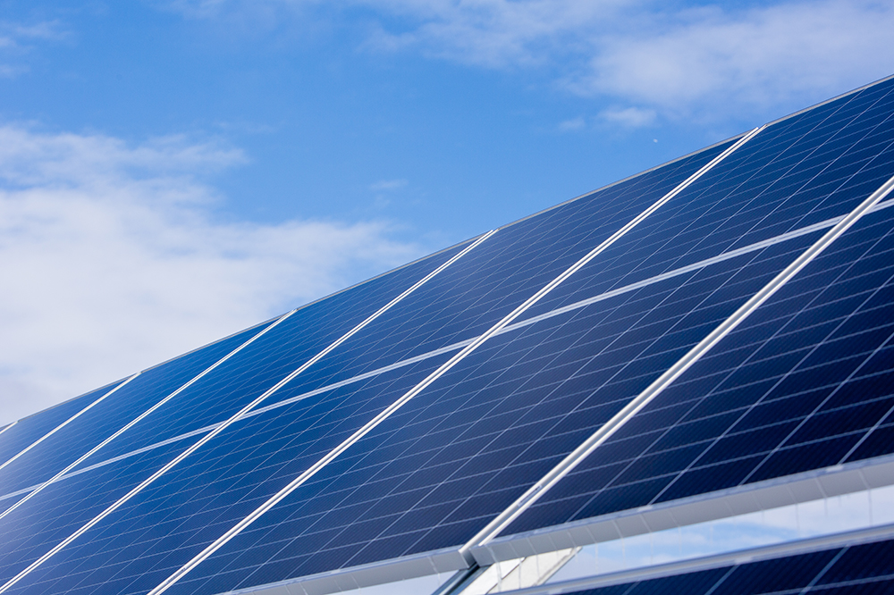 Se espera más energía renovable este año