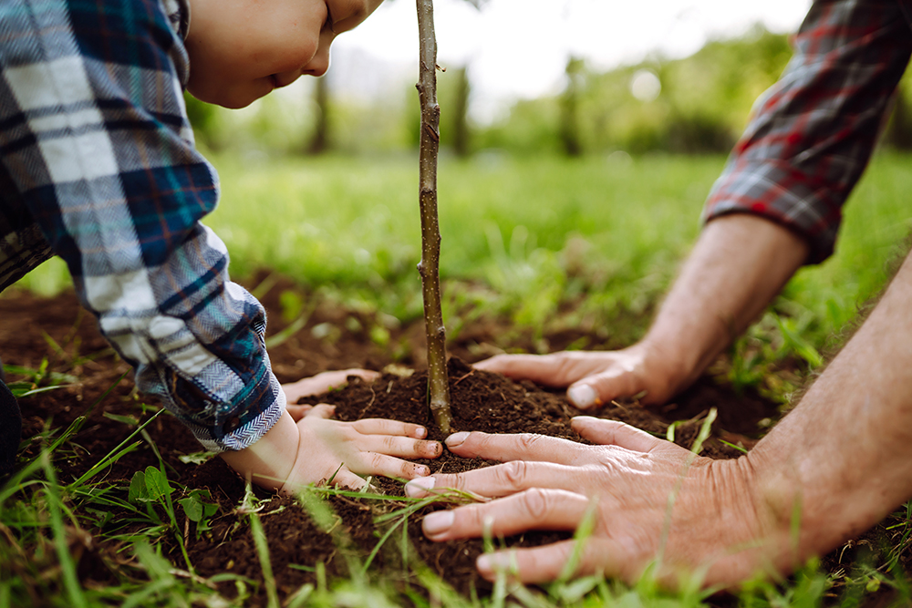 Child and adult planting a tree