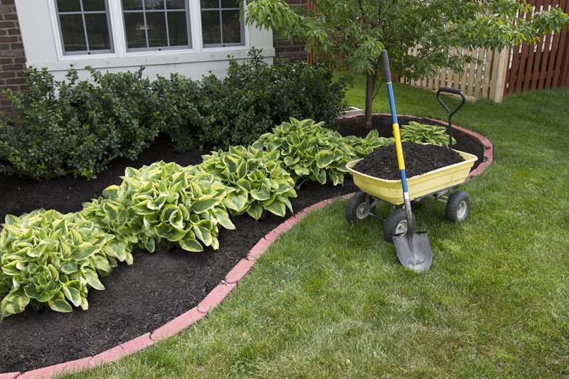 Energy-Smart Landscaping for Your Home 